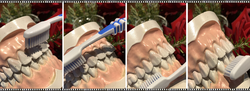 cepillar dientes cepillar dientes
